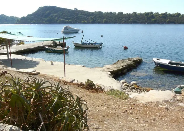 Apartament Near The Sea Marinovic